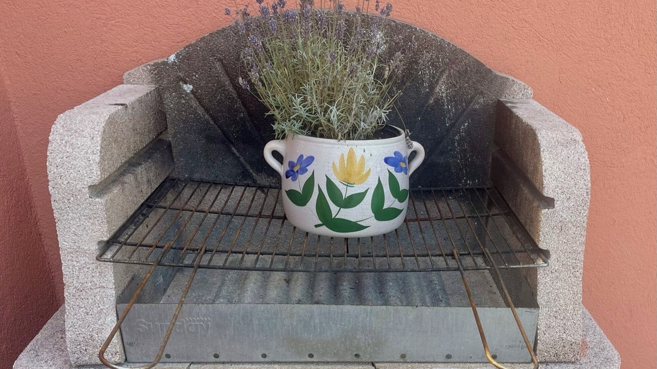 Photo of Outdoor in Theoule-Superieur