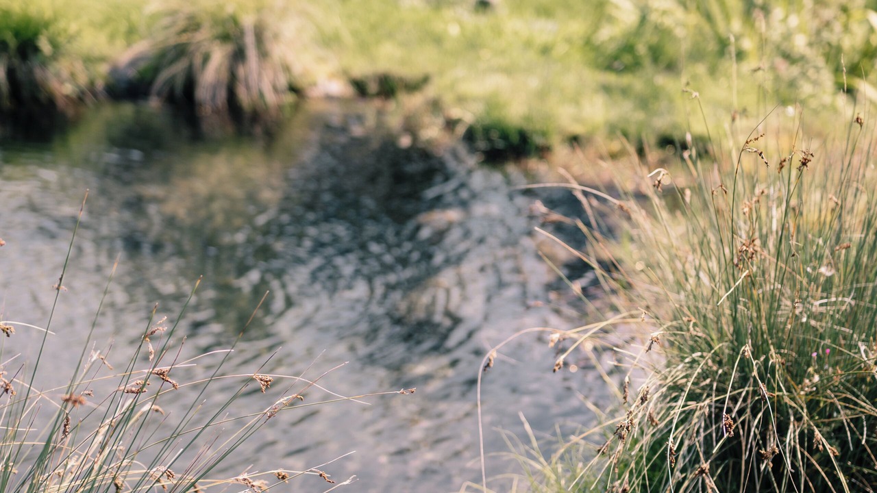 Photo of Outdoor in Notre-Dame-du-Cruet