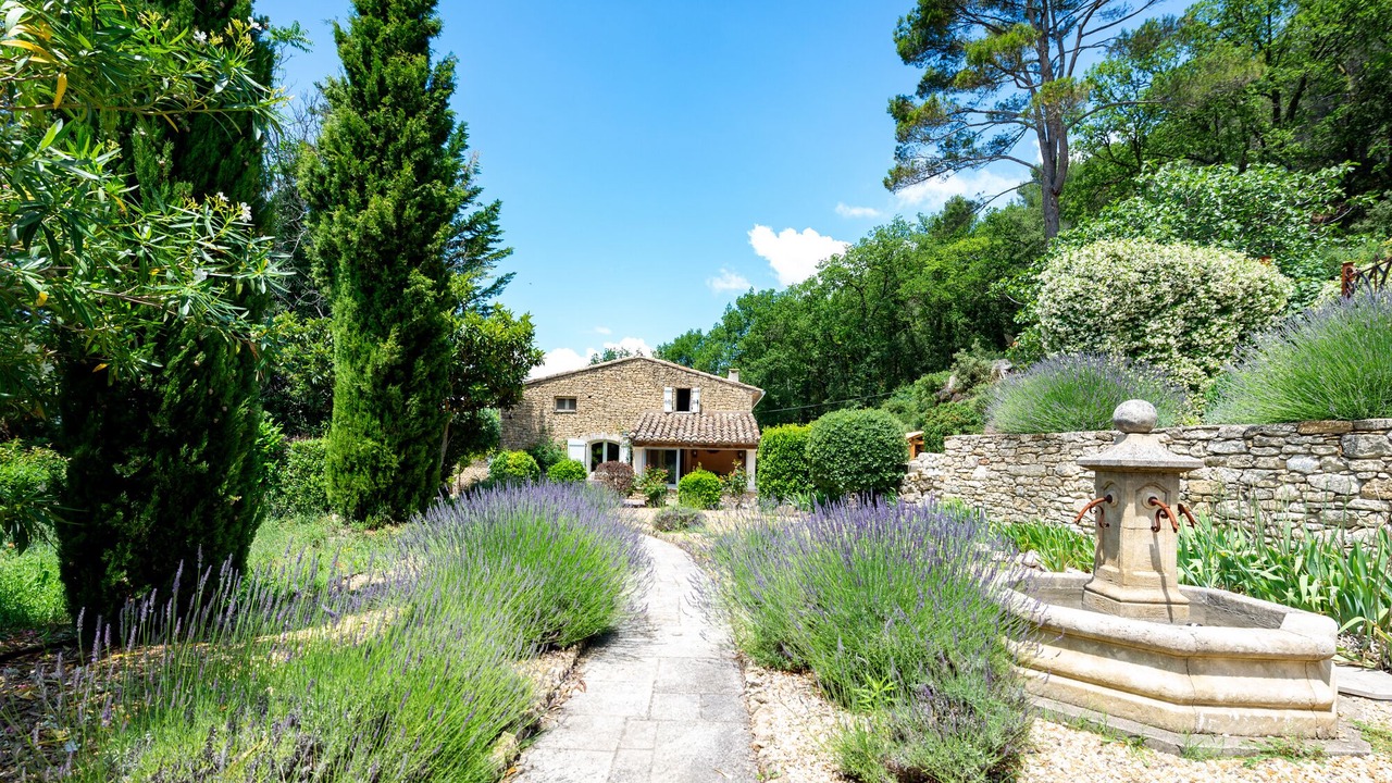 Photo of Outdoor in Menerbes