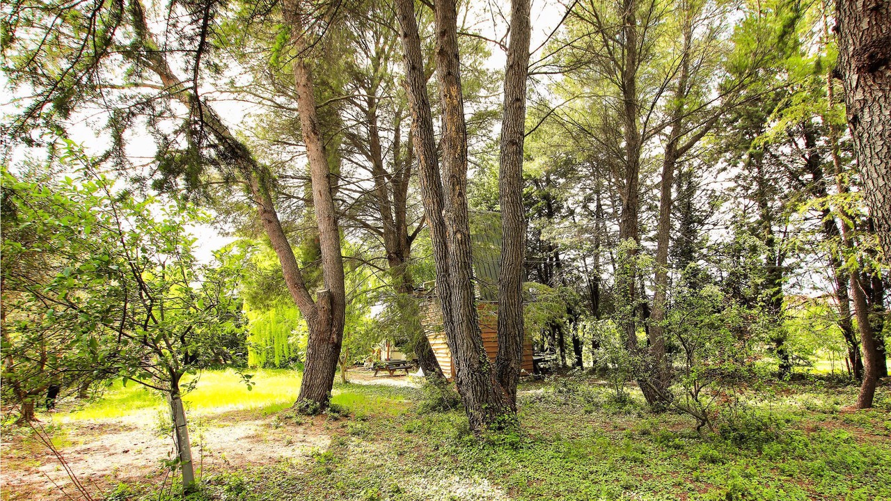 Photo of Others in Carpentras