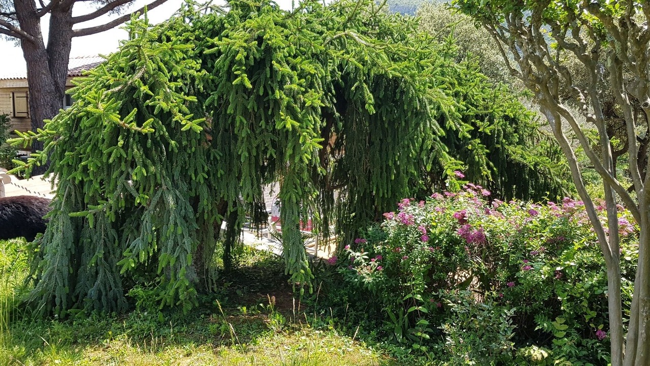 Photo of Outdoor in Anduze