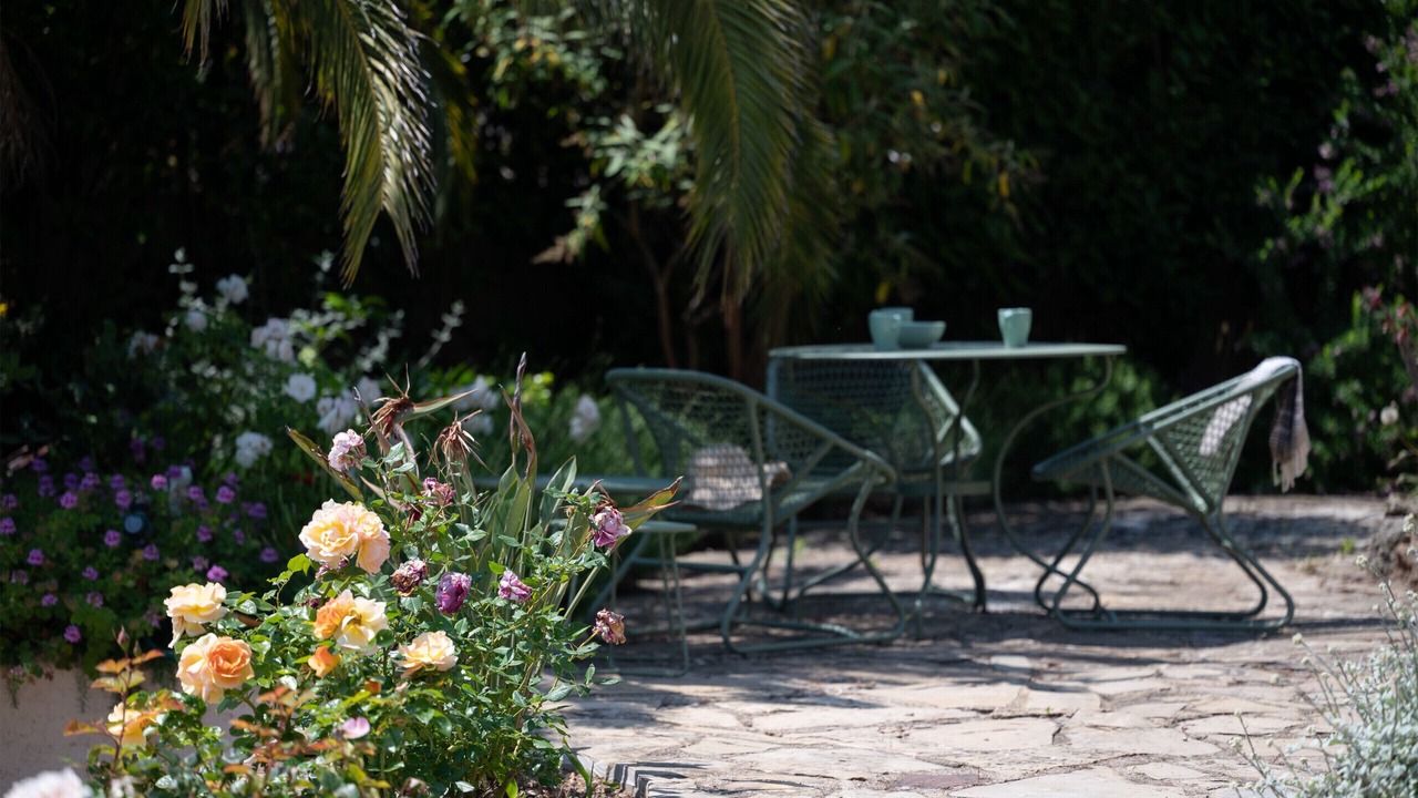Photo of Outdoor in Sainte-Maxime