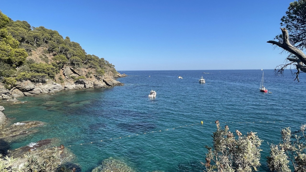 Photo of Others in Le Rayol