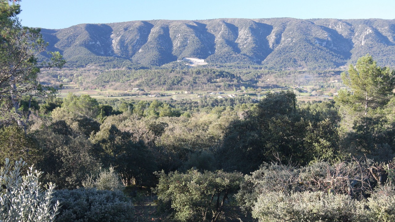 Photo of Outdoor in Beaumettes