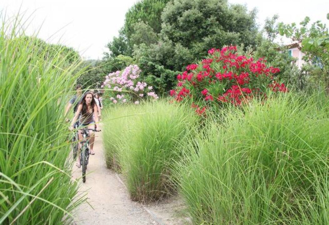 Photo of Outdoor in Les Restanques
