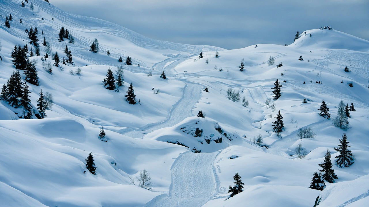 Photo of Others in Vaujany