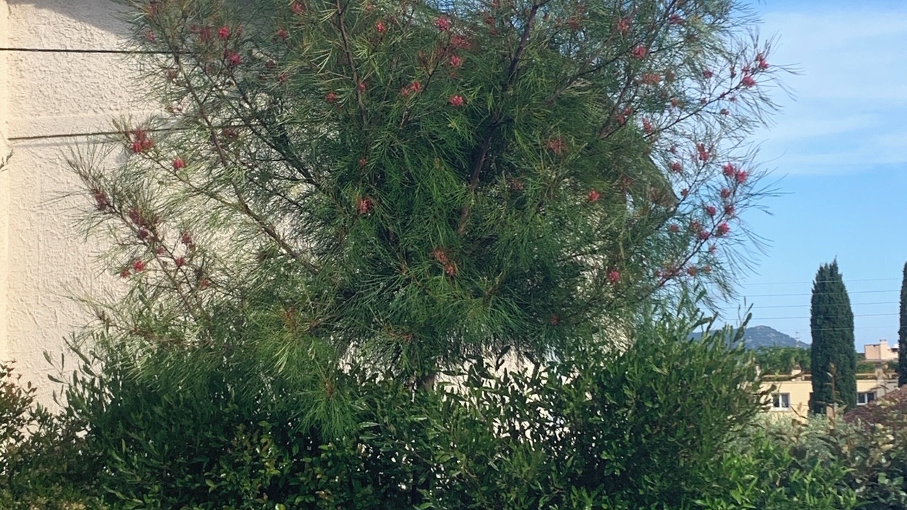 Photo of Outdoor in Sanary-sur-Mer