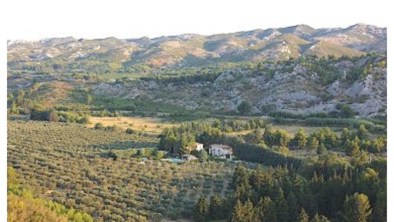 Photo of Others in Mouries