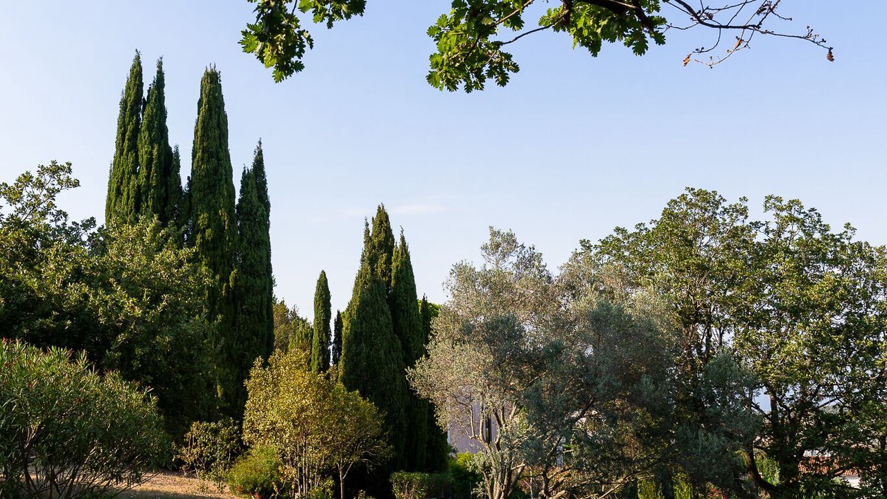 Photo of Outdoor in Vallauris