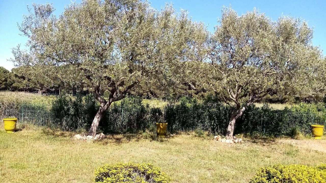 Photo of Outdoor in Ramatuelle