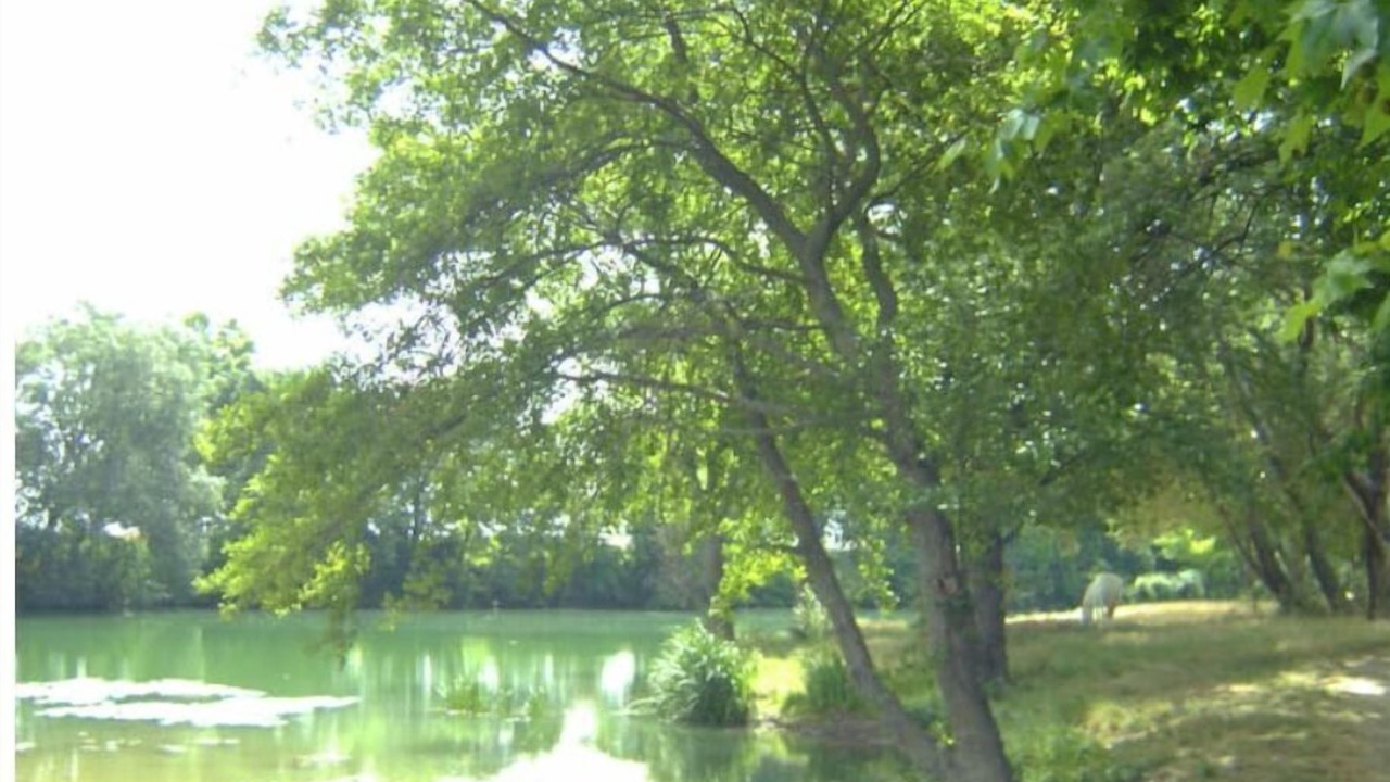 Photo of Outdoor in Marsillargues