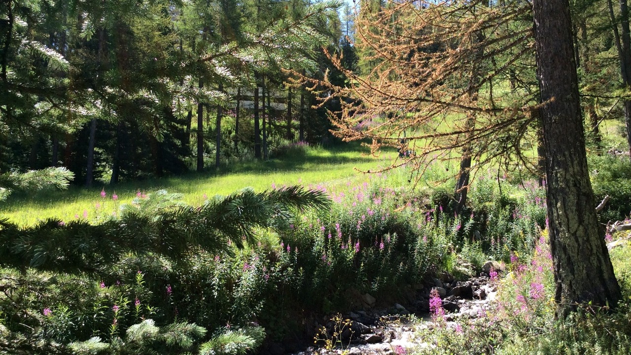 Photo of Outdoor in Les Claux