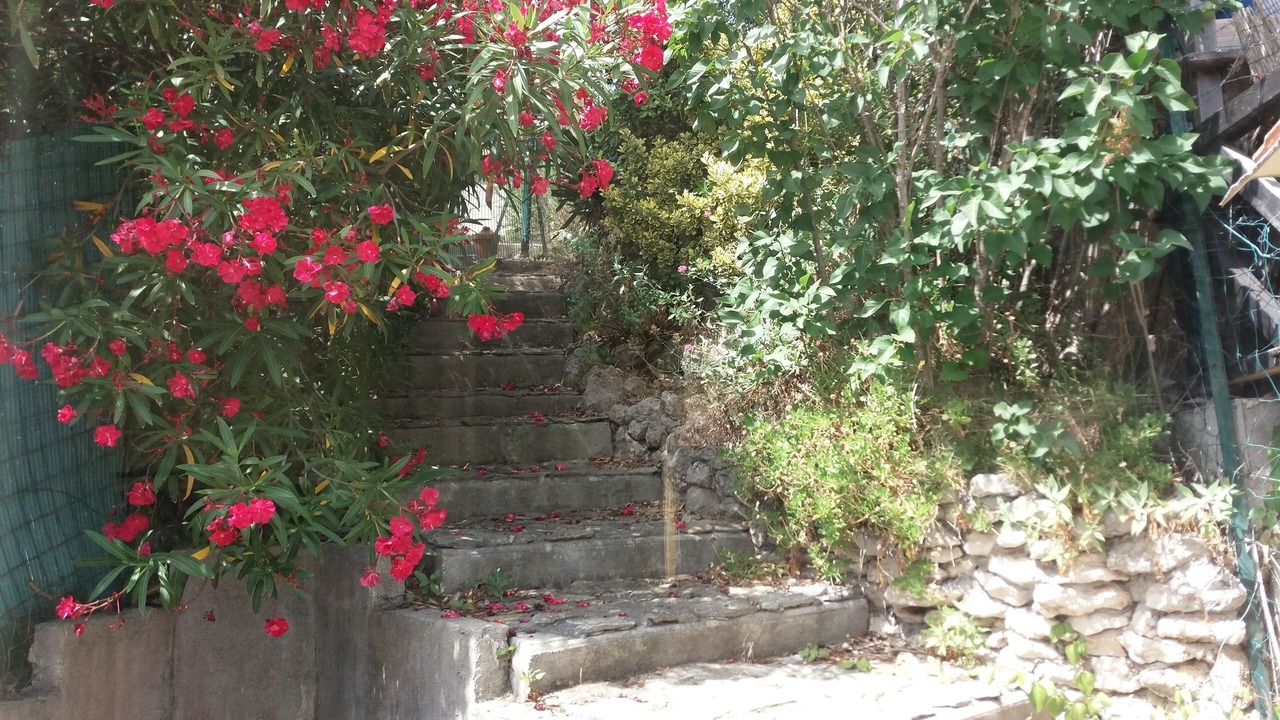 Photo of Outdoor in La Couronne