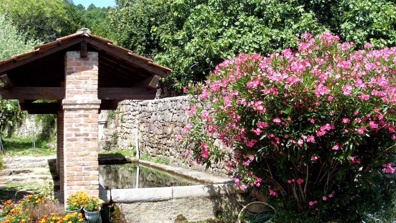 Photo of Outdoor in Saint-Paul-le-Jeune