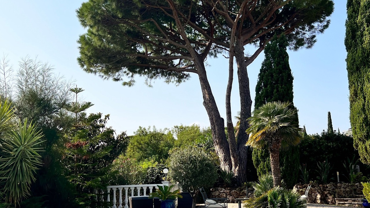 Photo of Outdoor in La Nartelle