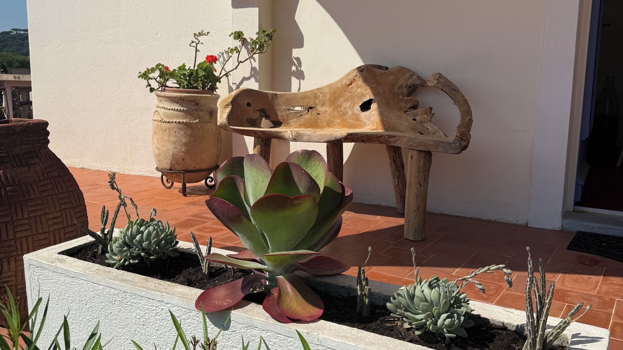 Photo of Outdoor in La Nartelle