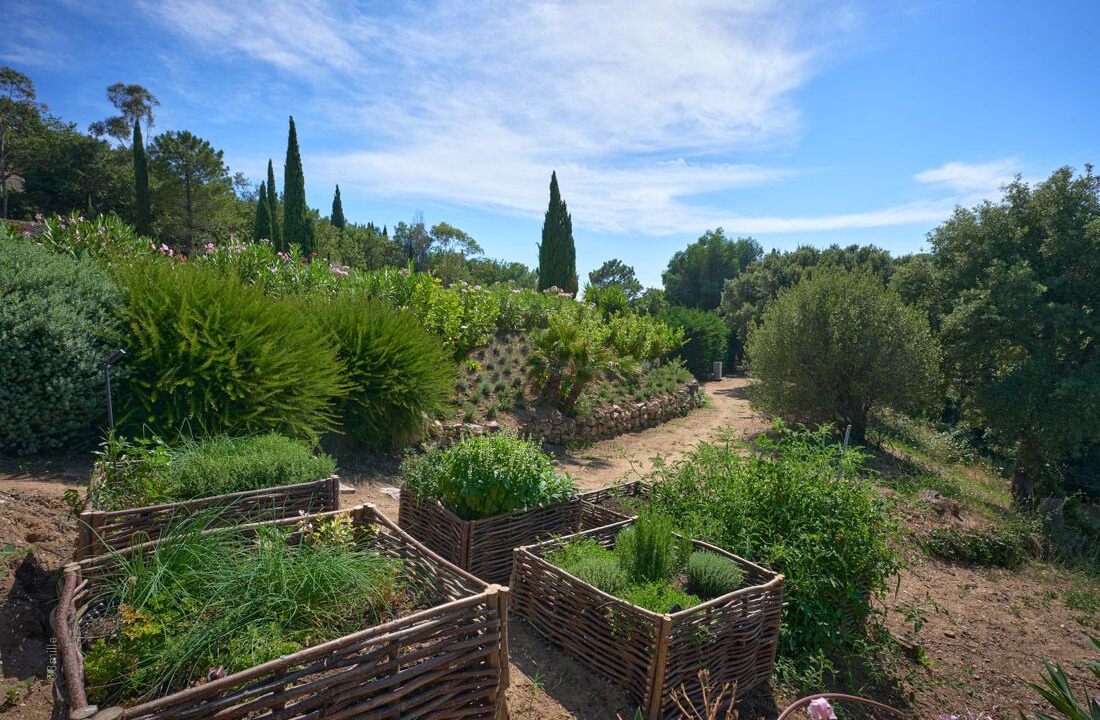 Photo of Outdoor in Grimaud