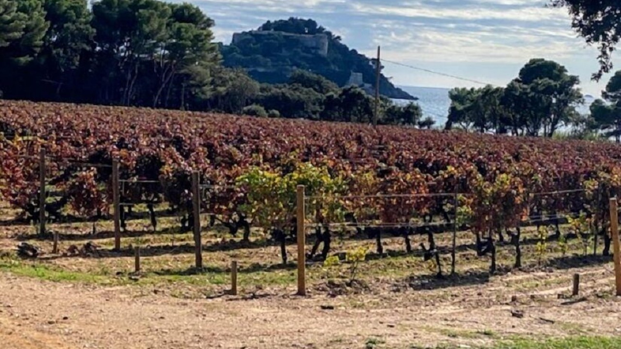 Photo of Outdoor in Cabasson