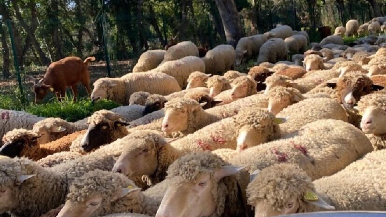 Photo of Others in Cabasson