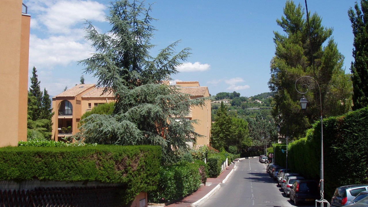 Photo of Others in Mougins
