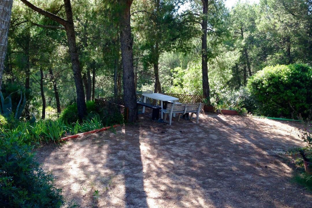 Photo of Outdoor in Ollioules