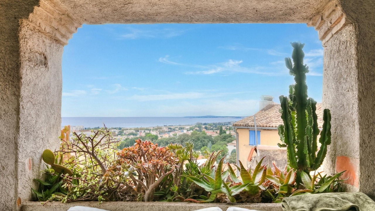 Photo of Others in Cagnes-sur-Mer