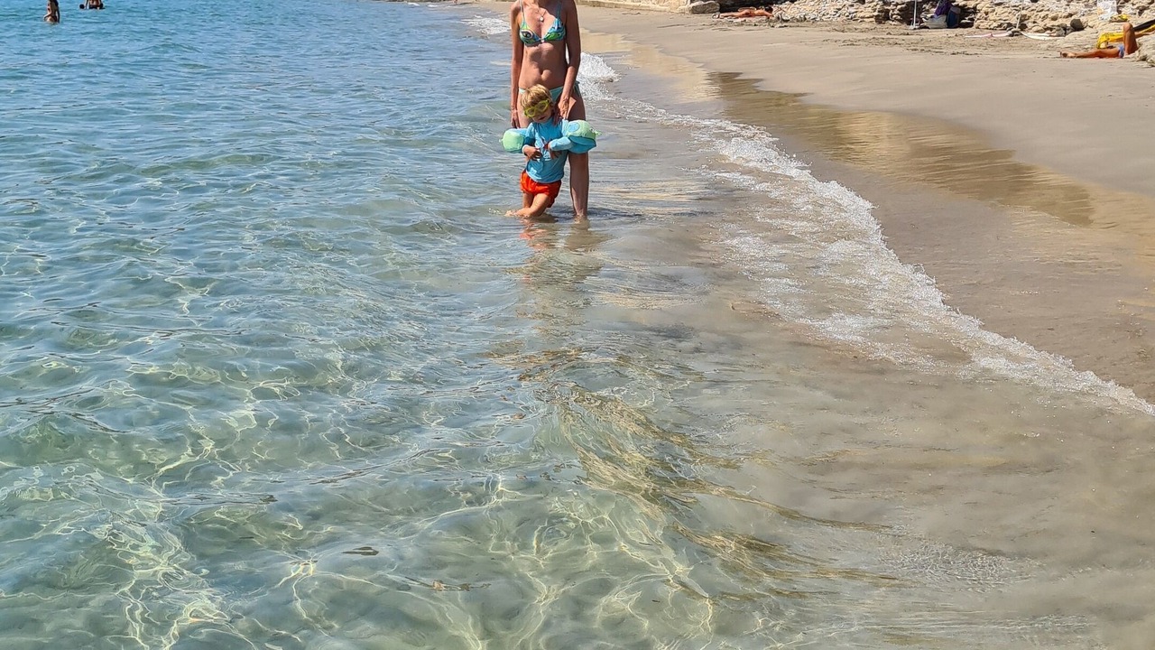 Photo of Others in La Ciotat