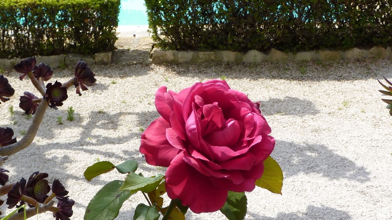 Photo of Outdoor in La Ciotat
