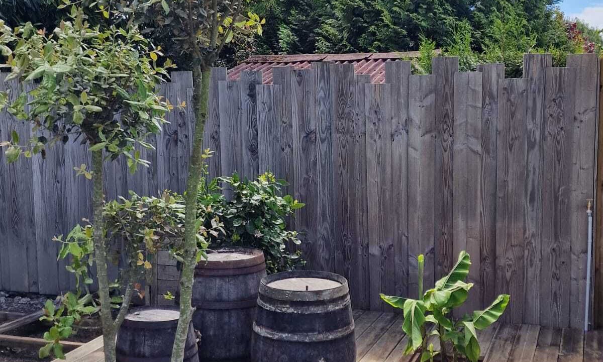 Photo of Outdoor in Saint-Vincent-sur-Jard