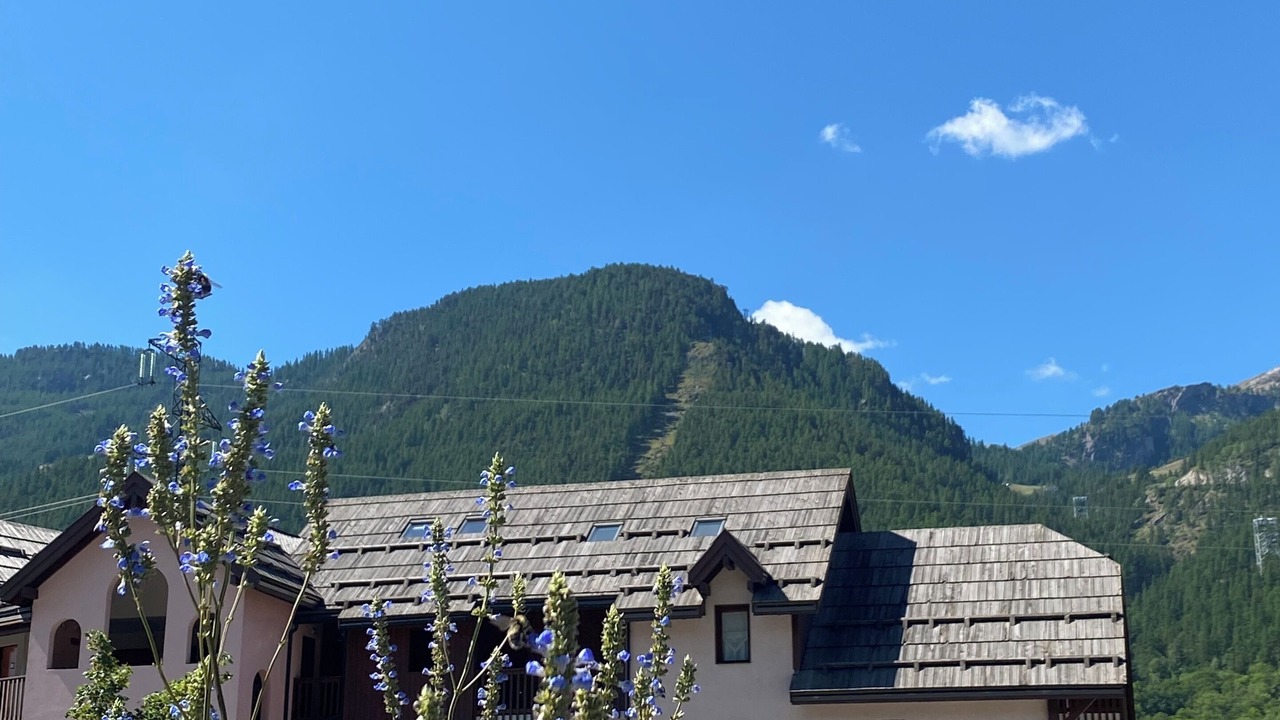 Photo of Outdoor in La Salle-les-Alpes
