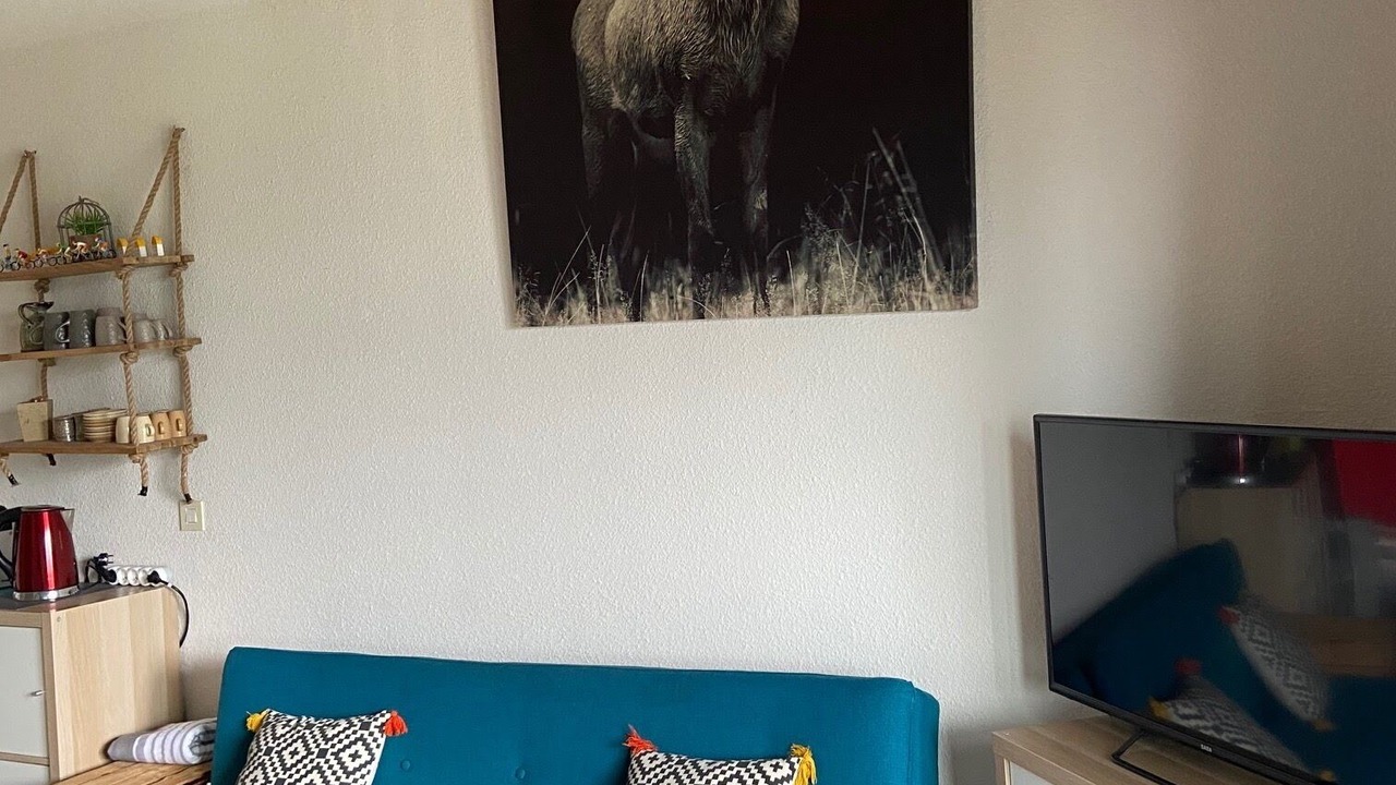 Photo of Livingroom in Barcelonnette
