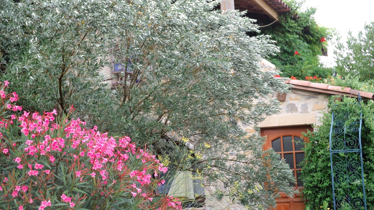 Photo of Outdoor in Lagorce