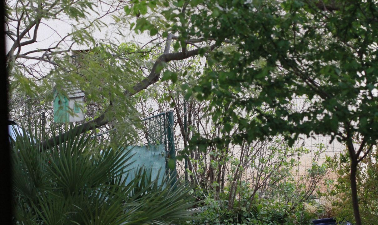 Photo of Outdoor in Frontignan