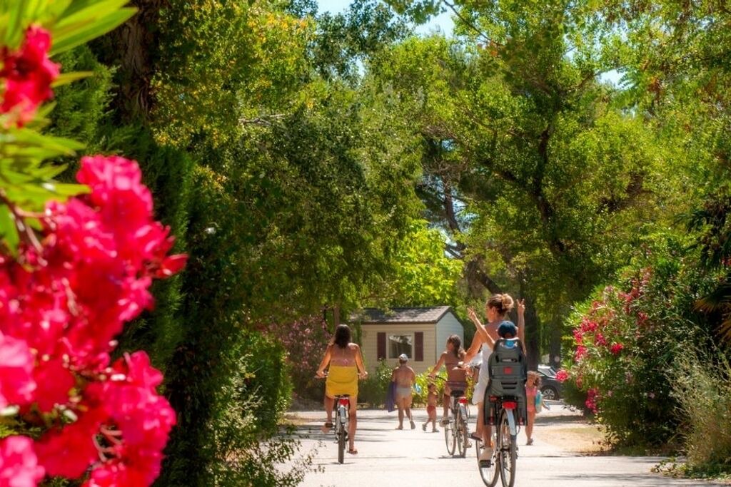 Photo of Outdoor in La Roque-d'Antheron