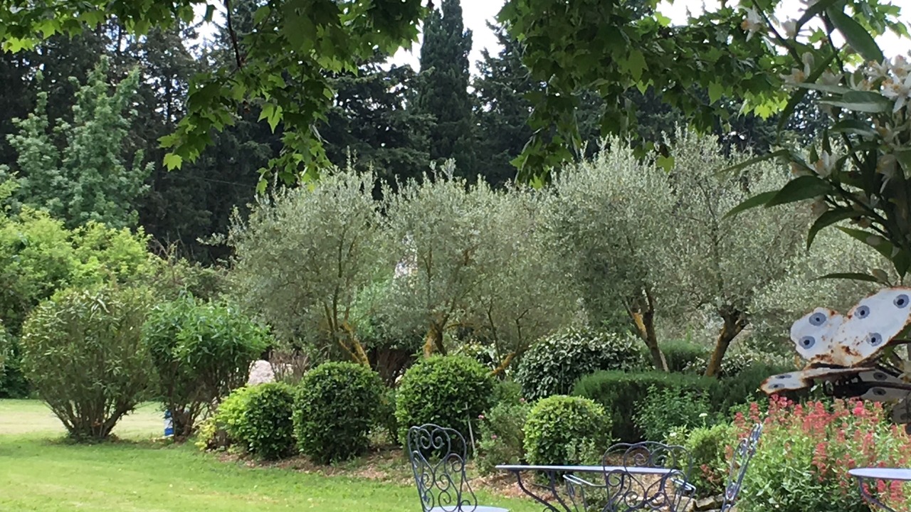 Photo of Outdoor in Noves