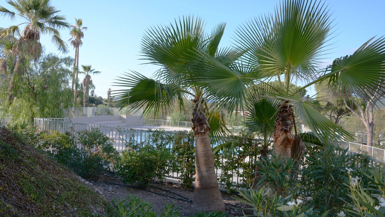 Photo of Outdoor in Puget-sur-Argens