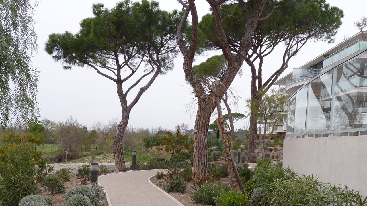 Photo of Outdoor in Puget-sur-Argens