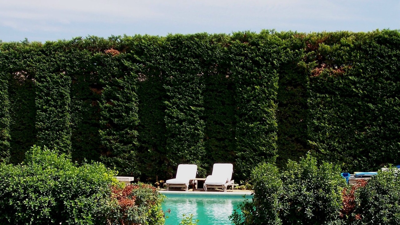 Photo of Outdoor in Menerbes
