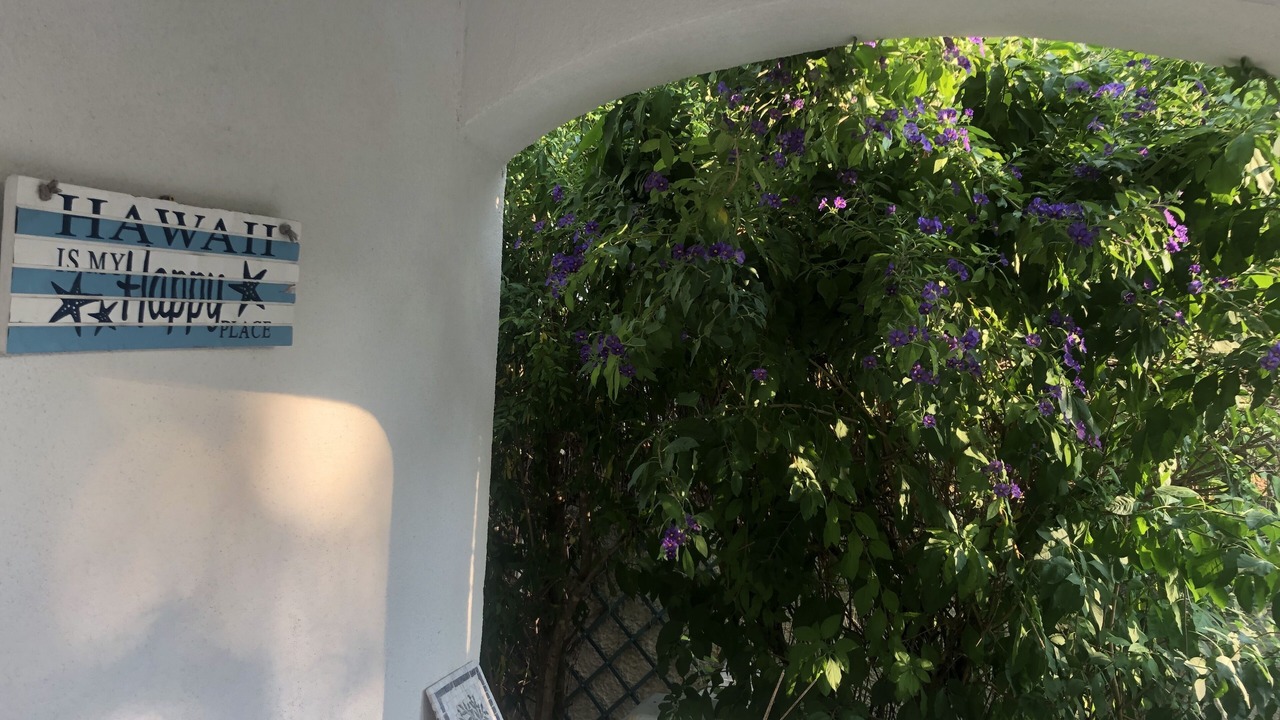 Photo of Outdoor in Aubagne