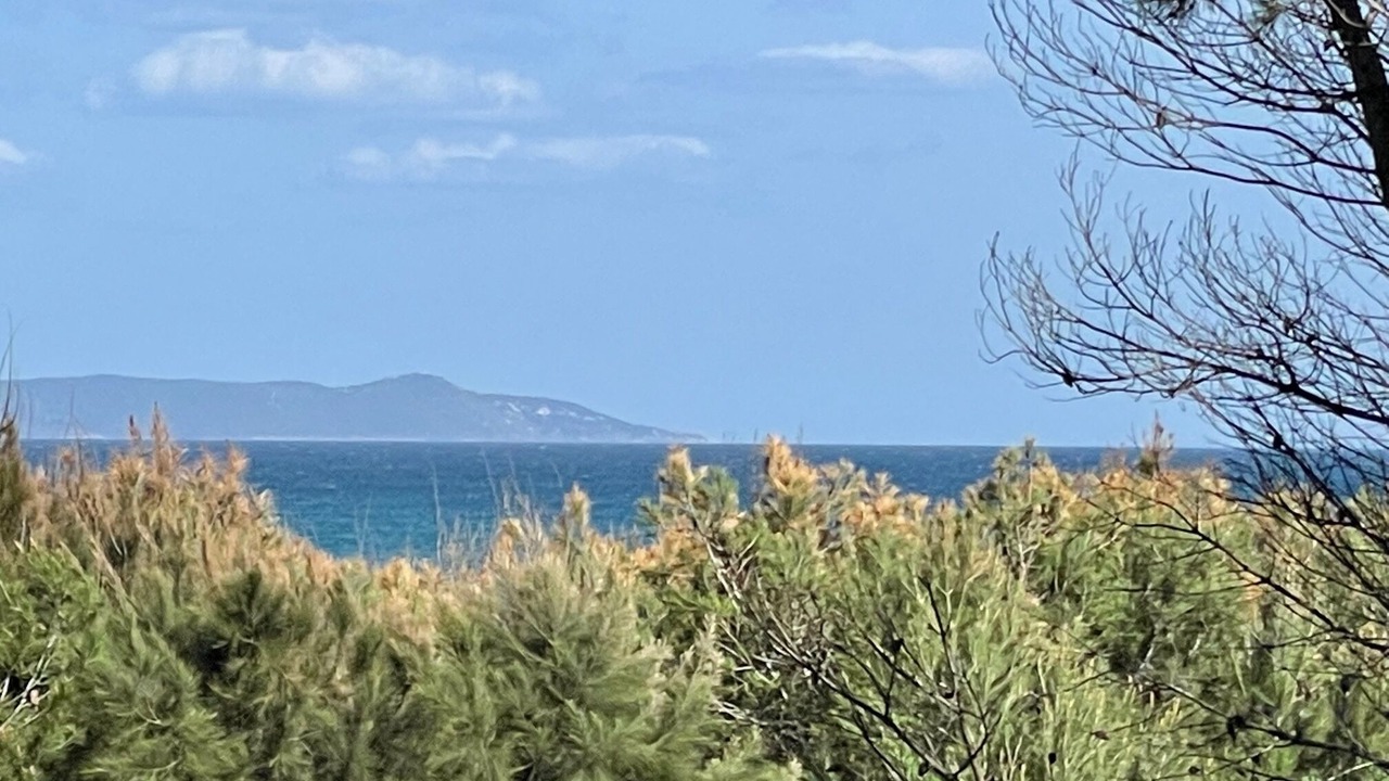 Photo of Others in Giens