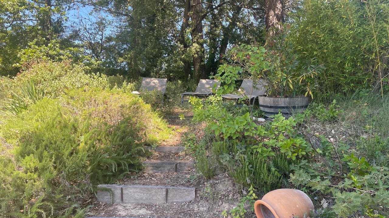 Photo of Outdoor in Buisson