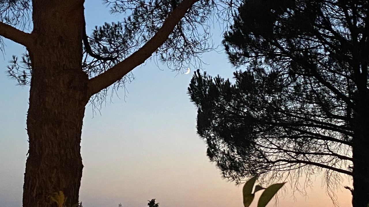 Photo of Outdoor in Montauroux
