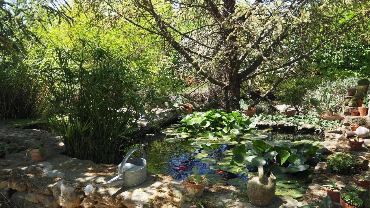 Photo of Outdoor in Vernegues