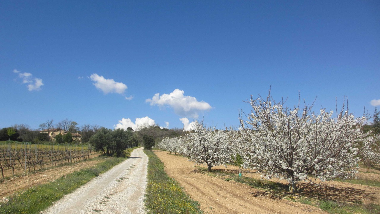 Photo of Outdoor in Saint-Saturnin-les-Apt