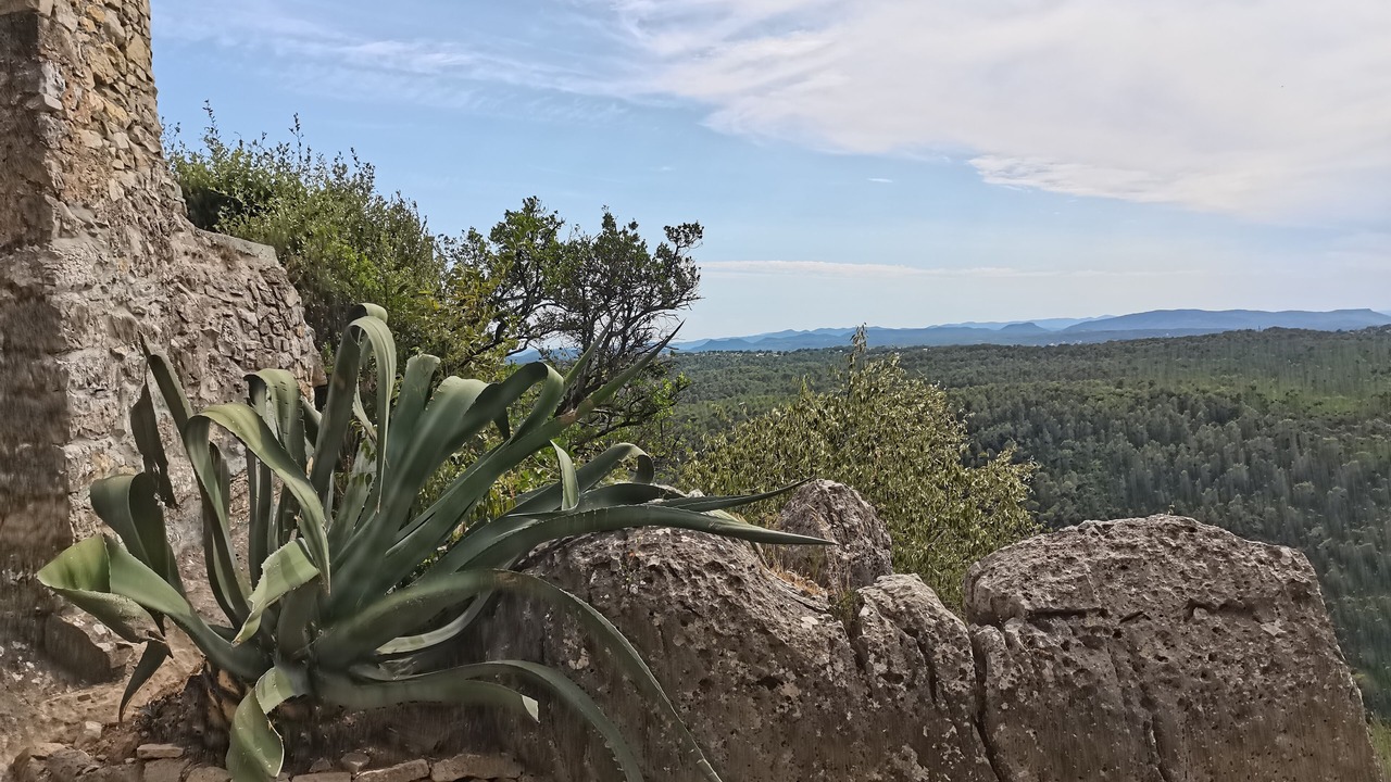 Photo of Outdoor in Saint-Cezaire-sur-Siagne