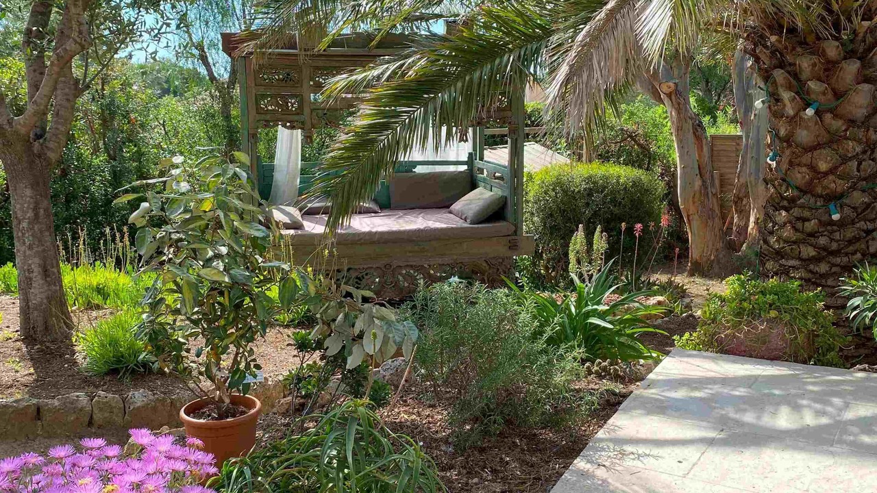 Photo of Outdoor in Saint-Aygulf