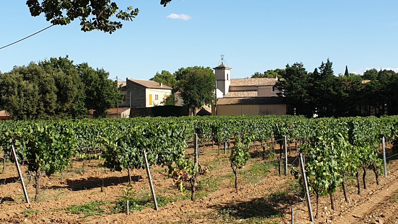 Photo of Outdoor in Uchaux
