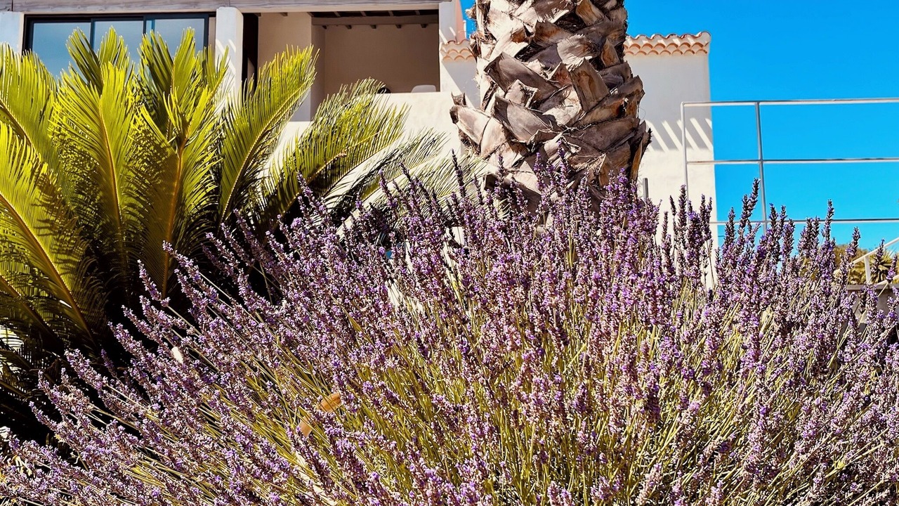 Photo of Outdoor in Cassis