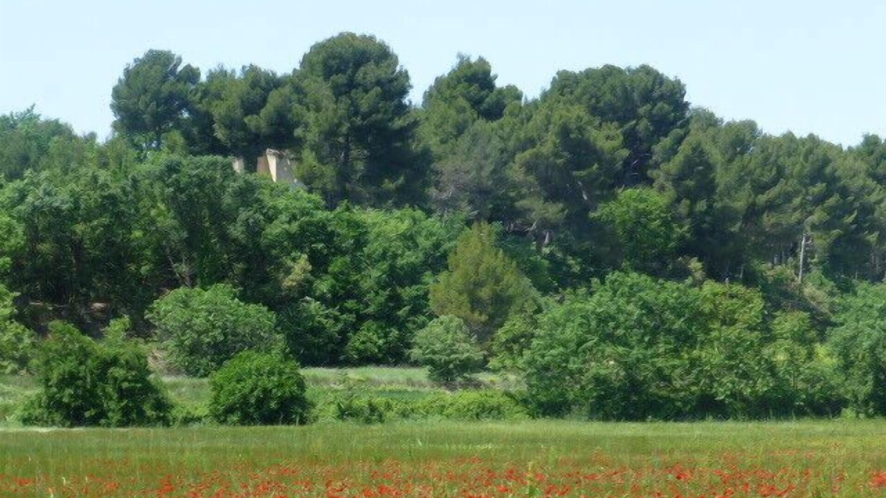 Photo of Outdoor in Cabrieres-d'Avignon