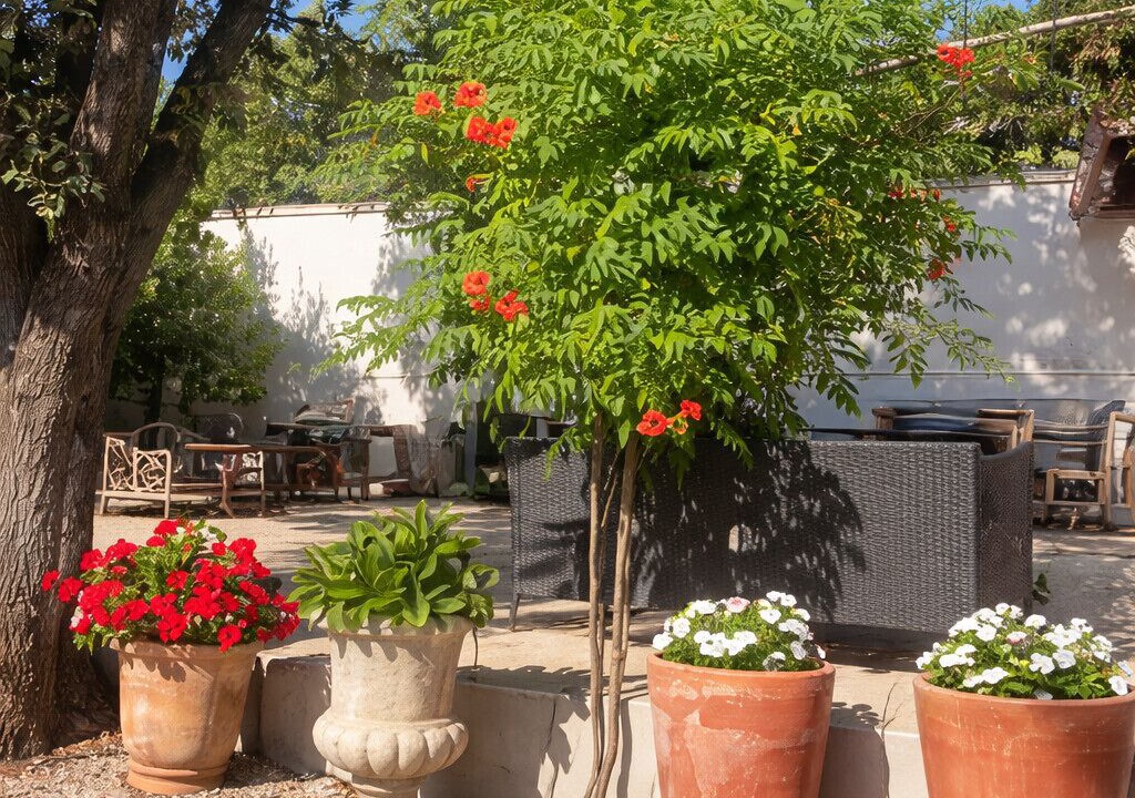 Photo of Patio Balcony in Cabrieres-d'Avignon